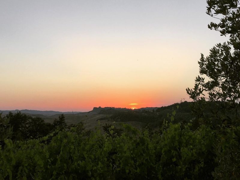 e un'altra giornata è finita #sunset #vineyards #pievedepitti #terricciola #landsofpisa