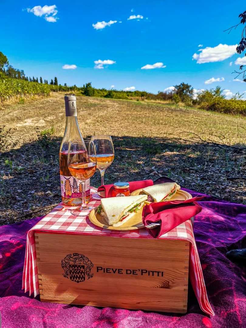 Picnic in the vineyard WE